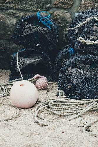 egg black fish nets bryher