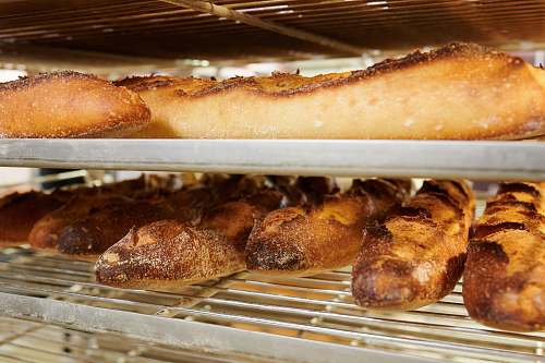 bread breads on tray bun
