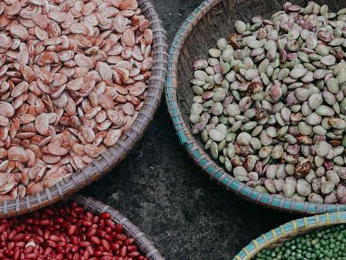 plant brown and white seeds vegetable