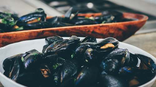 bowl cooked mussel. in white bowl mussels