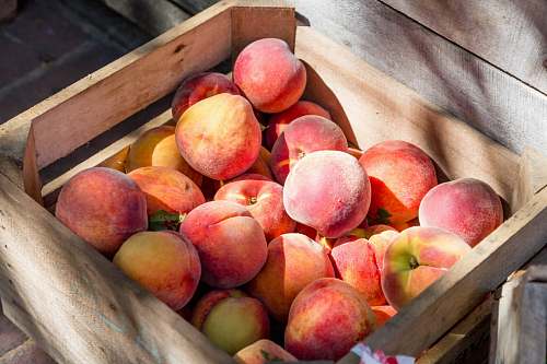 fruit crate of reed fruit peach