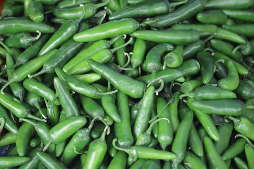 plant macro photography of green chilis produce