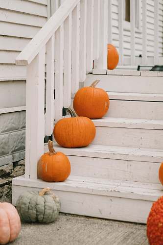 plant orange pumpkins on white wooden stairs produce