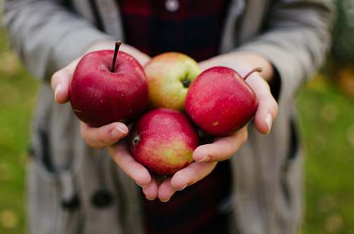 apple person holding four red apples flora