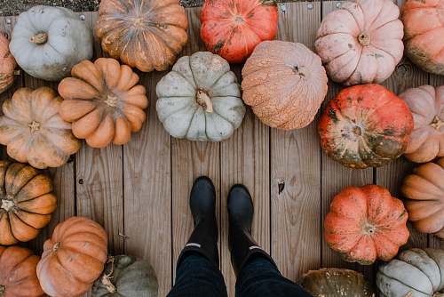 plant person standing on brown hardwood floor surrounded by pumpkins pumpkin