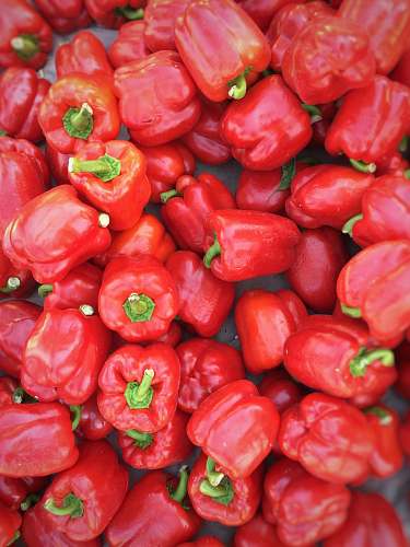 pepper red bell pepper lot vegetable