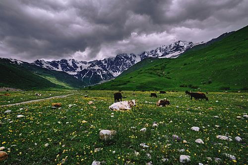 green and white mountains under gray sky at daytime