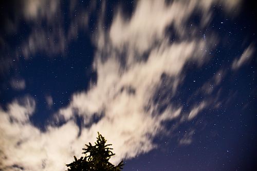 green tree over white clouds surrounded with stars