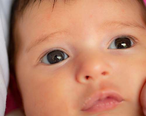 person baby's face baby