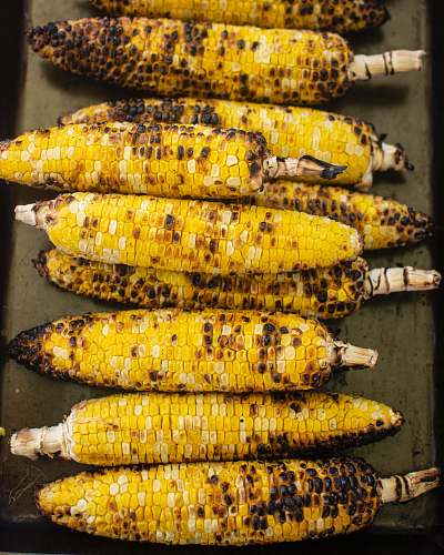 food grilled corns corn