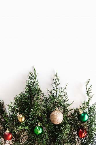 tree silver bauble conifer