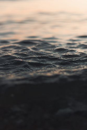 selective focus photography of water