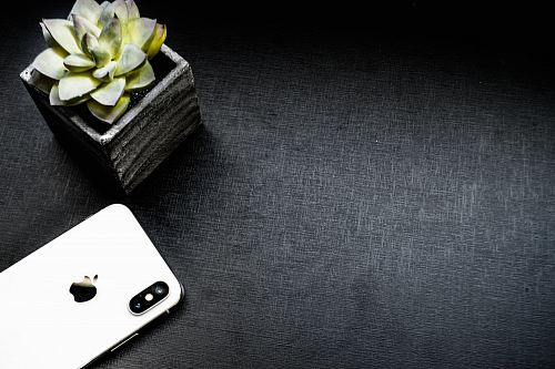 silver iPhone X beside succulent plant
