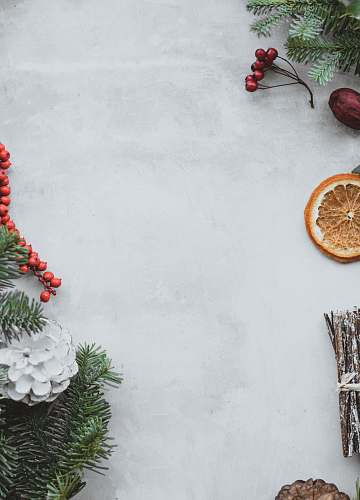 plant red fruits beside pine leaves and sliced fruit on white surface grey