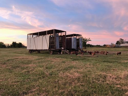 two wheeled chicken coops