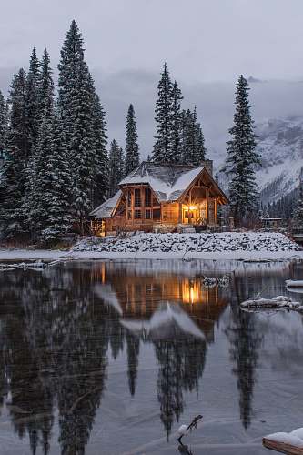 house wooden house near pine trees and pond coated with snow during daytime cabin