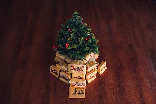 conifer green Christmas tree decor fir