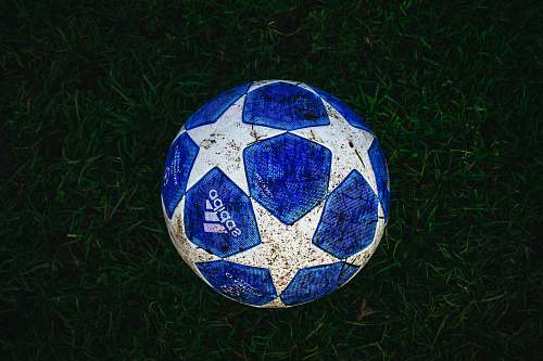 football blue and white star print soccer ball on grass soccer ball
