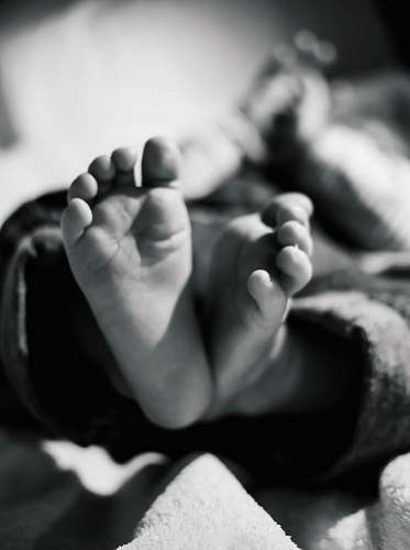 toe grayscale photo of baby's feet grey