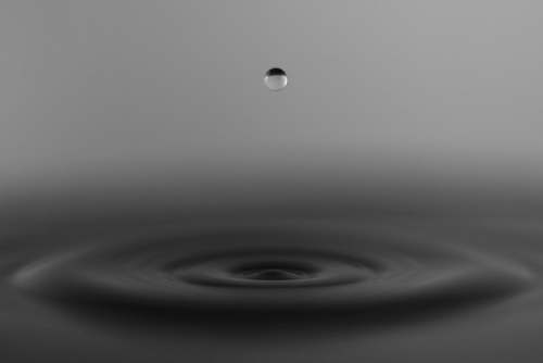 water water dew outdoors