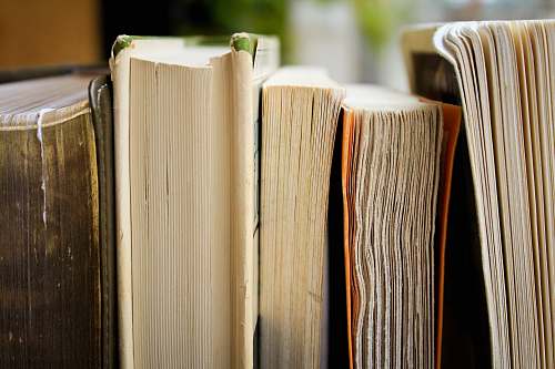 books macro photo of five assorted books reading