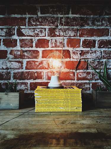 portland light bulb on pile of books light