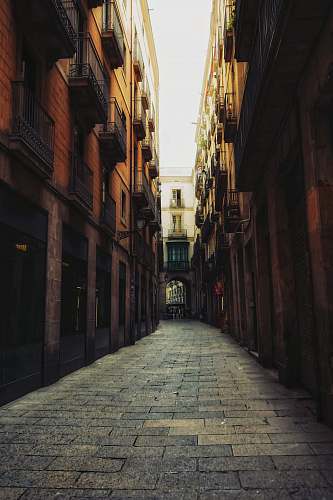 urban alley photography of walkway between building during daytime town
