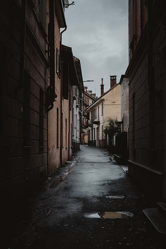 city alleyway during daytime street