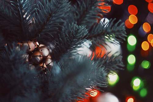 tree bokeh photography of christmas tree christmas tree