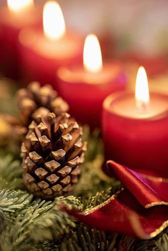 candle brown pinecone advent