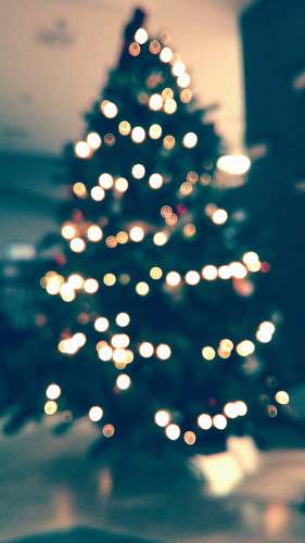 zagreb christmas tree with string lights turned on croatia
