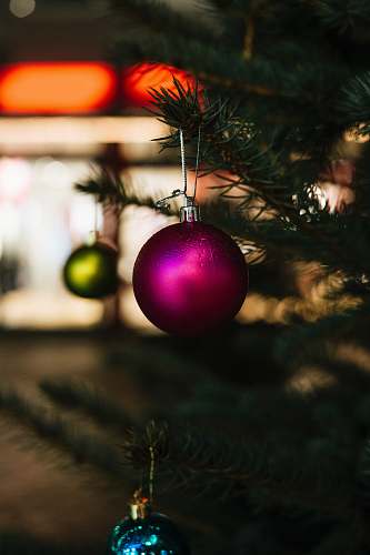 flora close-up selective focus shot of purple bauble hanging on Christmas tree food