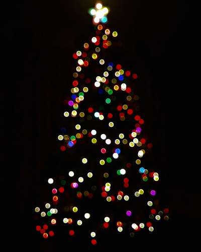 tree multicolored lighted Christmas tree lights
