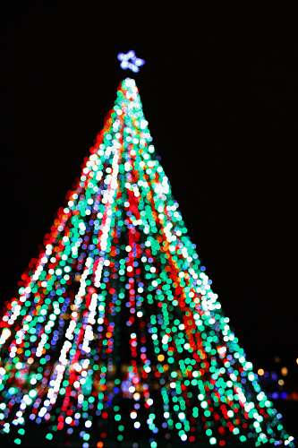 milwaukee multicolored string light covered tree united states