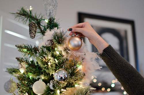tree person putting bauble on top of Christmas tree holiday