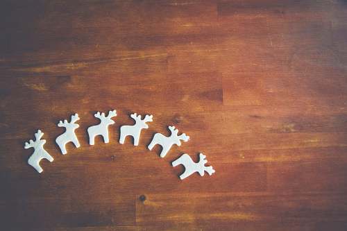 grey six white wooden deer decors on brown wooden surface moose