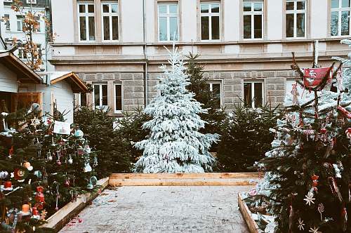 pottery snow covered pine tree near house vase