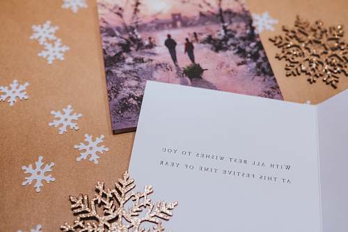 plant white greeting card potted plant
