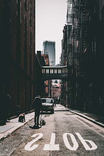 urban man walking on road with dog during daytime street