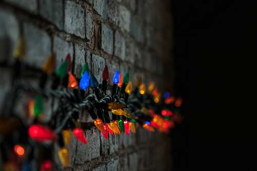 night shallow focus photography of string lights at the wall lights