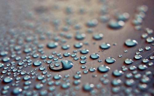 droplets shallow focus photography of water drop drops