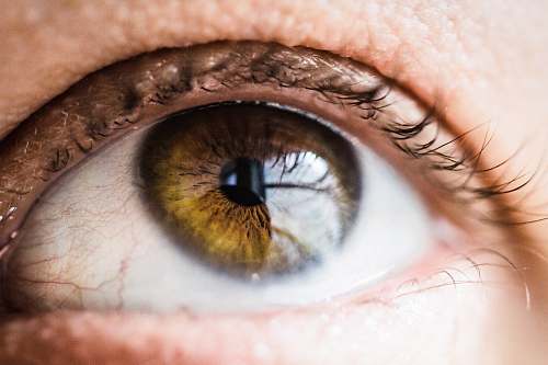 eyes human eye contact lens