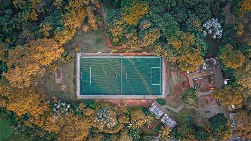 arena green basketball court building