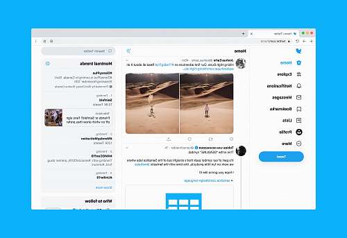 human Twitter website on desktop person