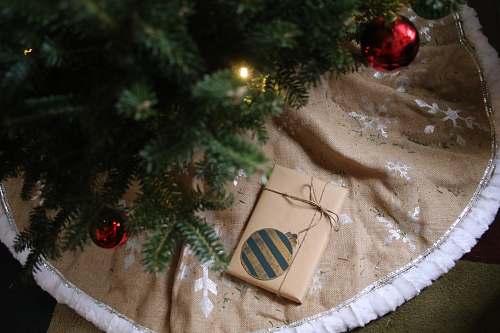 jar gray wrapped gift below the Christmas tree plant