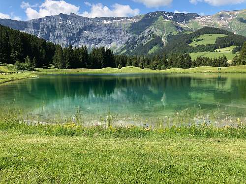 lake lake surrounded by pine trees mont blanc