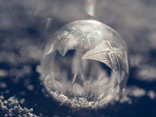 globe  winter