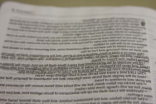 text white bookpage document