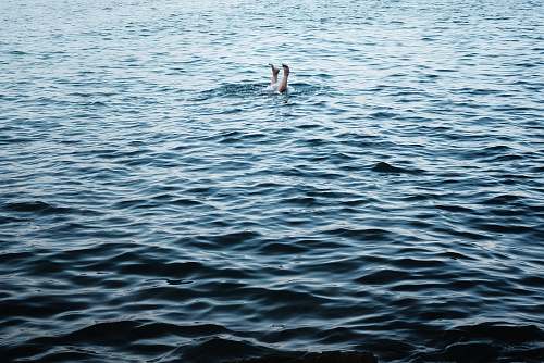 person person swimming during daytime sport
