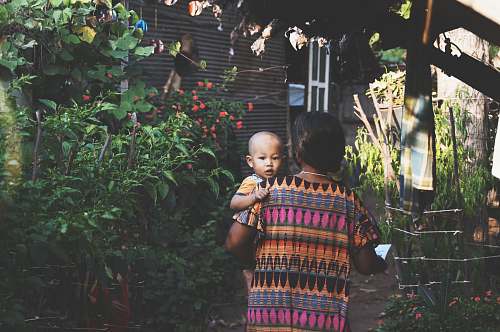 person woman carrying child near green leafed plants people